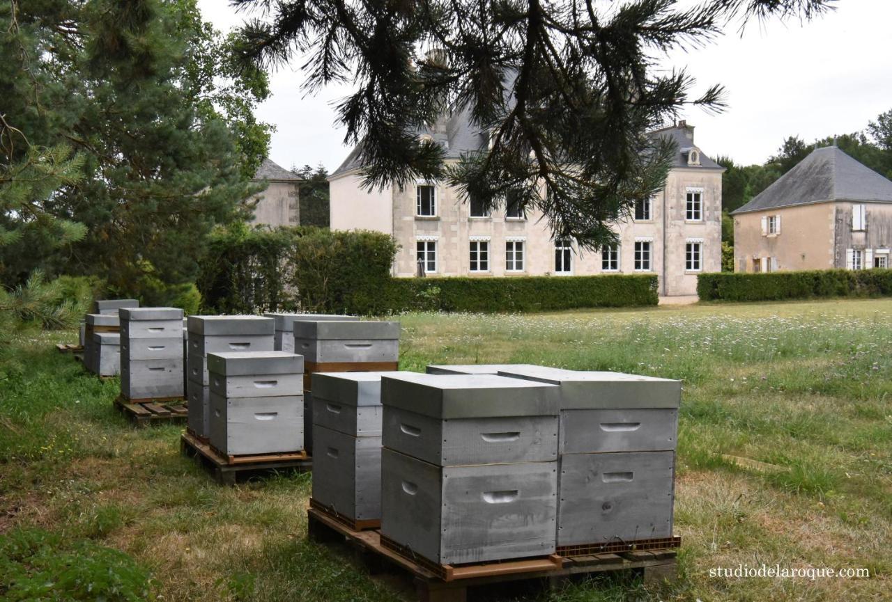 Sanxay Domaine De La Briouse B&B 외부 사진