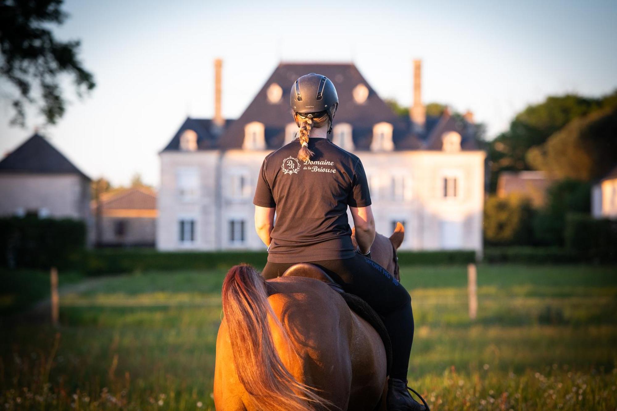 Sanxay Domaine De La Briouse B&B 외부 사진