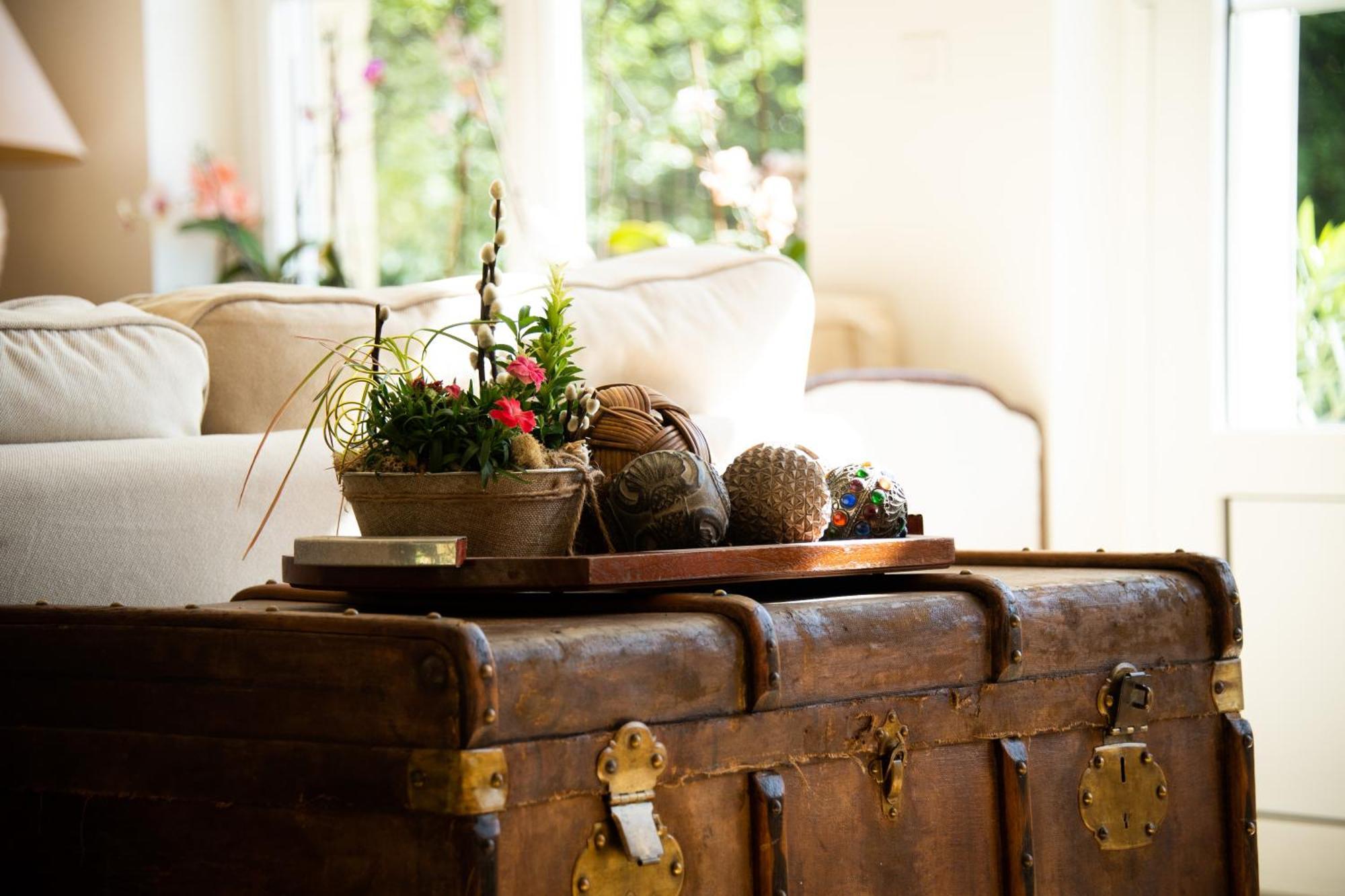 Sanxay Domaine De La Briouse B&B 외부 사진